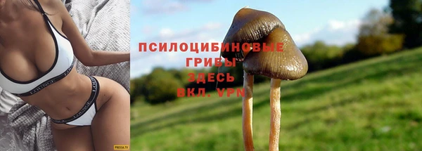 марки nbome Алзамай